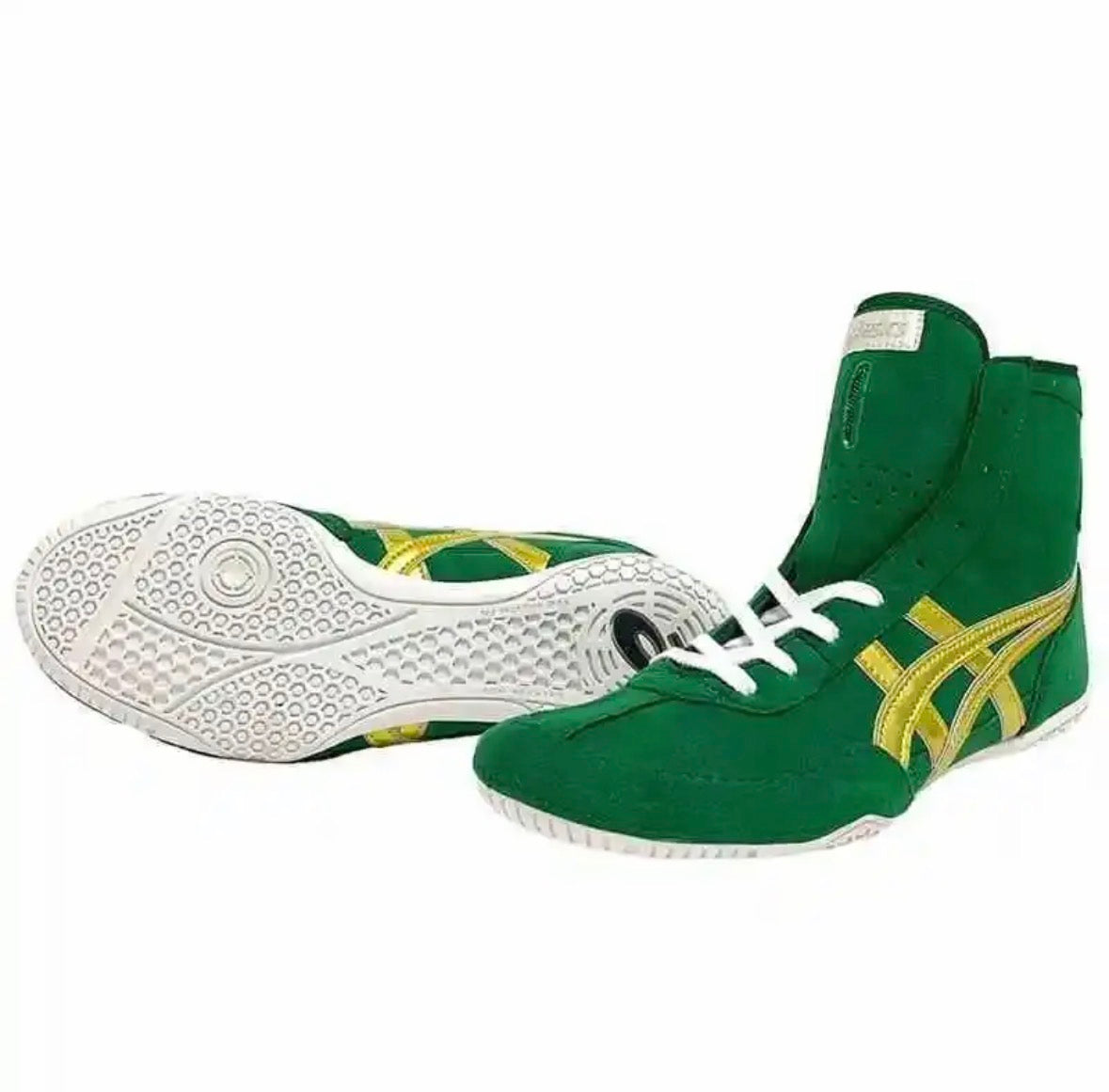 ASICS Wrestling Shoes