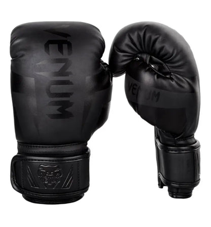 Venum Boxing Gloves