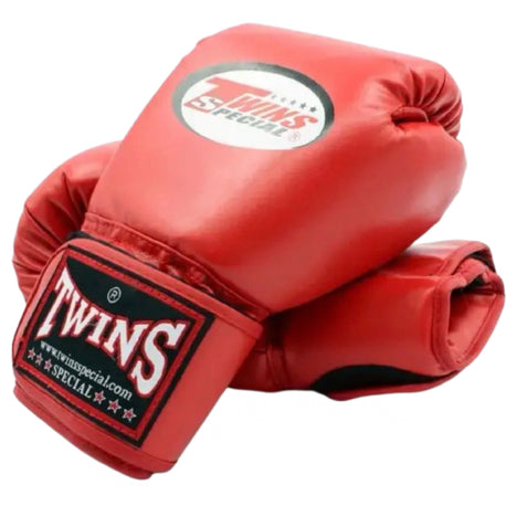 Twins Boxing Gloves