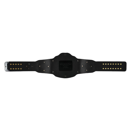 UFC Classic Replica Title Belt